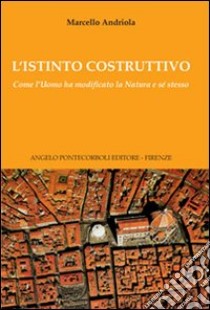 L'istinto costruttivo libro di Andriola Marcello