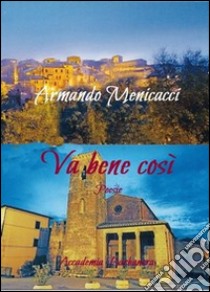 Va bene così libro di Menicacci Armando