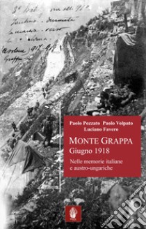 Monte Grappa giugno 1918. Nelle memorie italiane e austro-ungariche libro di Pozzato Paolo; Volpato Paolo