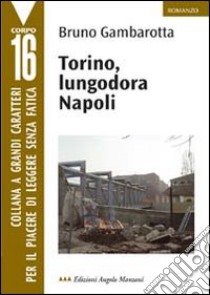 Torino, lungodora Napoli libro di Gambarotta Bruno