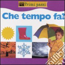 Che tempo fa? libro