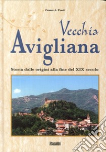 Vecchia Avigliana. Storia dalle origini alla fine del XIX secolo libro di Ponti Cesare