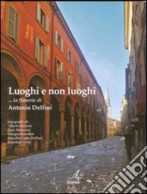 Luoghi e non luoghi. La Flanerie di Antonio Delfini libro