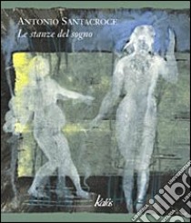 Le stanze del sogno. Ediz. italiana, inglese e tedesca libro di Santacroce Antonio; Consolo V. (cur.); La Spina S. (cur.)