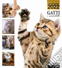 Gatti e marachelle. Calendario 2022 libro