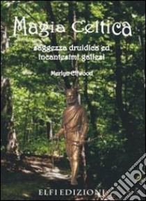 Magia celtica. Saggezza druidica ed incantesimi gallesi libro di Elfwood Merlyn