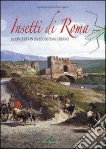 Insetti di Roma. Biodiversità in un ecosistema urbano libro di Vigna Taglianti Augusto; Zapparoli Marzio