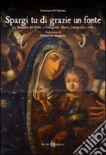 Spargi tu di grazie un fonte. La Madonna del Ponte a Caltagirone. Storia, iconografia e culto libro di Di Stefano Francesco; Federico G. (cur.)