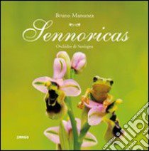 Sennoricas. Orchidee della Sardegna. Ediz. illustrata libro di Manunza Bruno