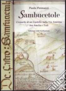 Sambucetole. Cronache di un castello sulla via Amerina tra Amelia e Todi. Con CD-ROM libro di Pennazzi Paolo