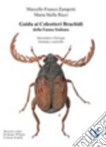 Guida ai coleotteri bruchidi della fauna italiana. Sistematica e biologia, gestione e controllo libro di Zampetti Marcello F.; Ricci M. Stella; Troisi A. (cur.)