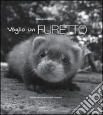 Voglio un furetto. Ediz. illustrata libro di Melillo Alessandro