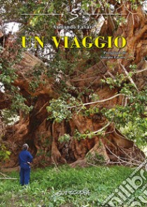 Un viaggio libro di Favaro Armando