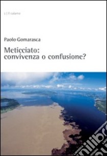 Meticciato: convivenza o confusione? libro di Gomarasca Paolo