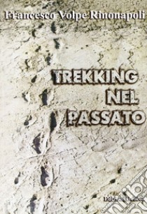 Trekking nel passato libro di Volpe Rinonapoli Francesco