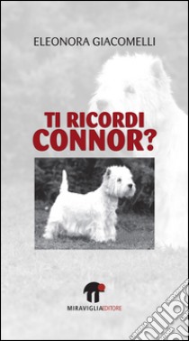 Ti ricordi Connor? libro di Giacomelli Eleonora