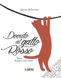 Dovuto al gatto rosso. Storie di gatti e altre storie libro di Bellocchio Alberto