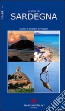 Visita in Sardegna. Guida e itinerari di viaggio libro di Dedola Gianluca