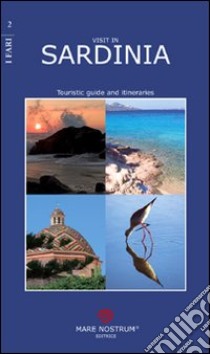 Visit in Sardinia tourist guide and itineraries libro di Dedola Gianluca