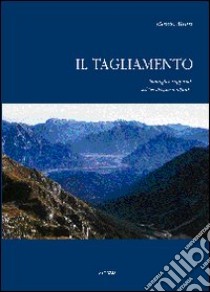 Il Tagliamento. Immagini ed appunti sul re dei fiumi alpini libro di Mion Benito