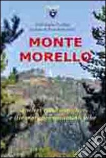 Monte Morello. Sentieri escursionistici e itinerari per mountain bike libro di Rolle S. (cur.)