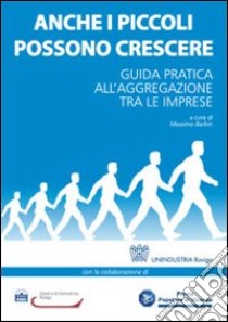 Anche i piccoli possono crescere. Guida pratica all'aggregazione tra le imprese libro di Barbin M. (cur.)