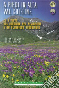 A piedi in alta val Chisone. Le 5 tappe del sentiero del Plaisentif e 20 classiche escursioni libro di Camanni Stefano; Maccari Serena