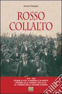 Rosso Collalto (1918-1924). Storie di vita, di miseria e di morte intorno alla vicenda Collalto, al termine della grande guerra libro di Menegon Antonio