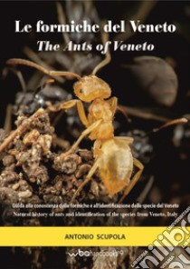 Le formiche del Veneto. Guida al riconoscimento delle specie con note di mirmecologia generale-The ants of Veneto. Guide to recognition of species with notes of general myopecology libro di Scupola Antonio