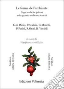 Le forme dell'ambiente. Saggi multidisciplinari sul rapporto ambiente-società libro di Malizia P. (cur.)