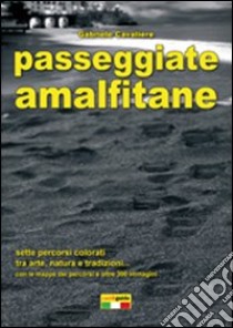 Passeggiate amalfitane libro di Cavaliere Gabriele