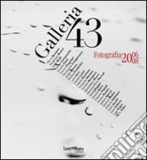 Galleria 43. Fotografia (2006-2008). Ediz. illustrata libro di Mirisola V. (cur.)