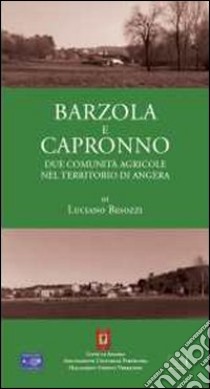 Barzola e Capronno. Due comunità agricole nel territorio di Angera libro di Besozzi Luciano