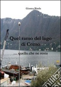 Quel ramo del lago di Como... quello che ne resta libro di Binda Gianna