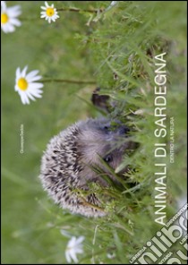 Animali di Sardegna. Dentro la natura. Ediz. italiana e inglese libro di Sedda Giuseppe