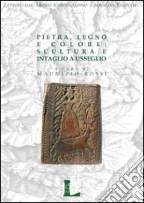 Pietra, legno e colore: scultura e intaglio a Usseglio. Ediz. illustrata libro