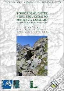 Terre rosse, pietre verdi e blu cobalto. Miniere a Usseglio. Seconda raccolta di studi libro di Rossi M. (cur.); Gattiglia A. (cur.)