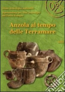 Anzola al tempo delle Terramare. Guida libro di Desantis P. (cur.); Marchesini M. (cur.); Marvelli S. (cur.)