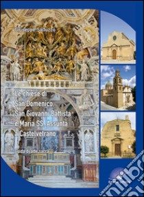 Le chiese di San Domenico, San Giovanni Battista, e Maria SS. Assunta a Castelvetrano. Guida di arte sacra libro di Salluzzo Giuseppe