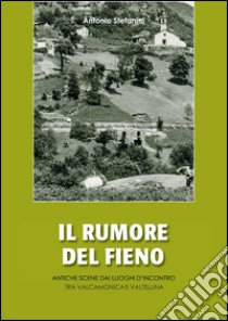 Il rumore del fieno libro di Stefanini Antonio