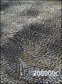 200000. Catalogo della mostra (Milano, marzo 2016). Ediz. multilingue libro di Zgraggen Antoine; Follini B. (cur.)