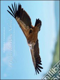 I grifoni dei monti Nebrodi. Fotoreportage naturalistico dalla Sicilia. Ediz. italiana e inglese libro di Cannavale Alfonso