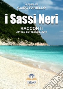 I sassi neri. Racconti aprile-settembre 2018 libro di Fariello G. (cur.)