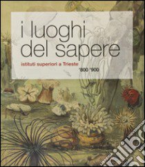 I luoghi del sapere. Istituti superiori a Trieste. '800 '900 libro