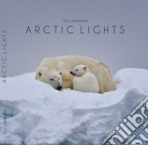 Artic lights. Ediz. illustrata libro di Zaramella Nico