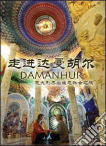 Journey into Damanhur. The amazing italian eco-society. Ediz. inglese e cinese libro di Esperide Ananas