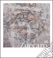 Piero Zuccaro. Flyby. Ediz. multilingue libro di Meneguzzo M. (cur.)