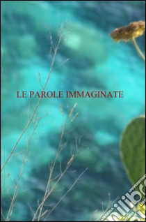 Le parole immaginate libro di Campanella Paola