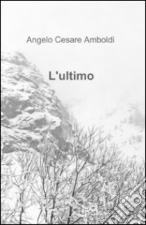 L'ultimo libro di Amboldi Angelo C.