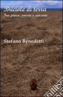 Briciole di terra libro di Benedetti Stefano